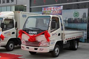 (汽油/CNG)