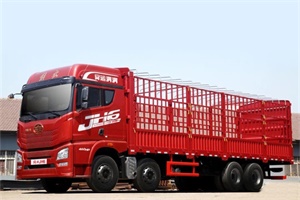 巾帼卡车司机闯入接单王前三名 只因她是解放定义车老司机