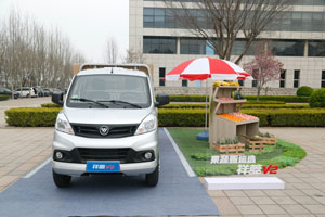 再添新成员！祥菱微卡V2牛在哪？