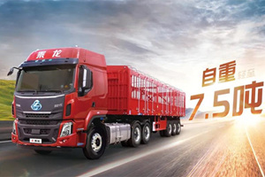 虎年创富好伙伴来报道 乘龙H5超轻版自动挡万博体育app下载入口助你赚钱如虎