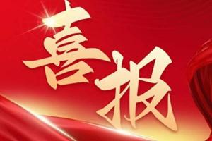 飞碟汽车新能源产品市场表现卓越 引领绿色物流发展