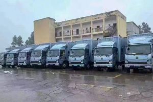 “绿色方阵”开进长沙！百台徐工新能源轻卡集中交付